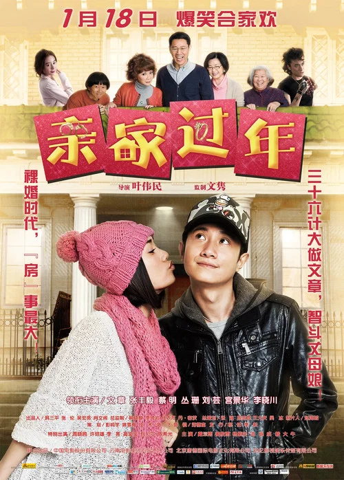 亲家过年(2012)海报