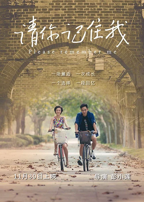 請你記住我(2017)海報