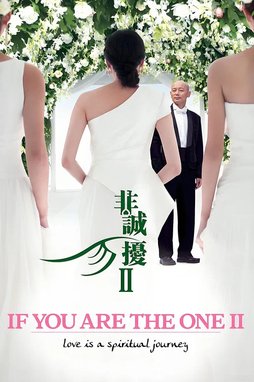 非誠勿擾2(2010)海報