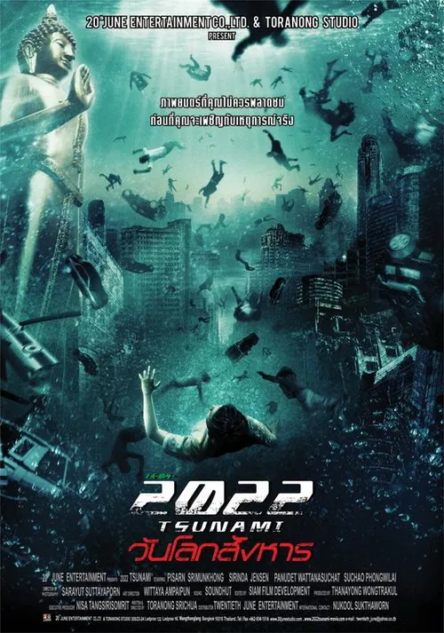 2022大海啸(2009)海报