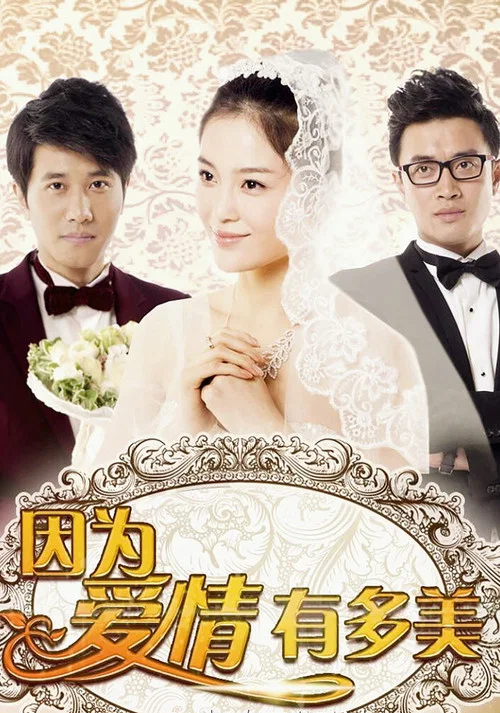 因为爱情(2013)海报