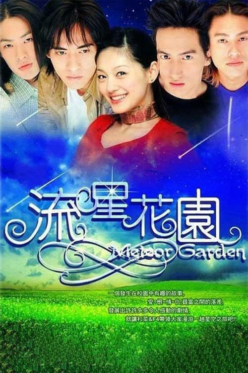 流星花園(2001)海報