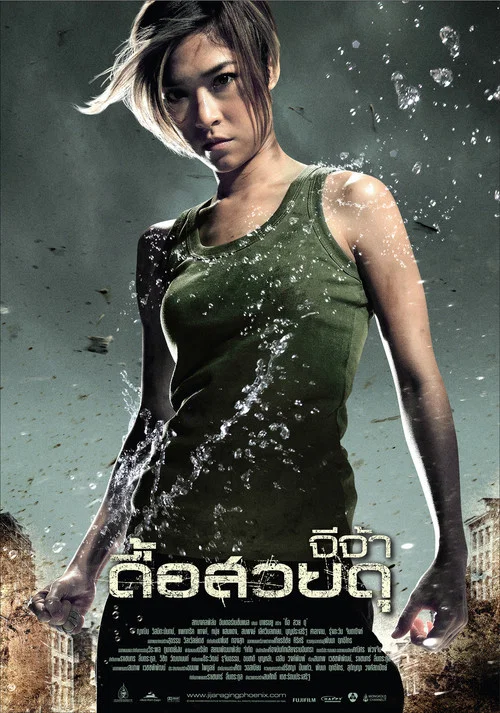 怒火鳳凰(2009)海報