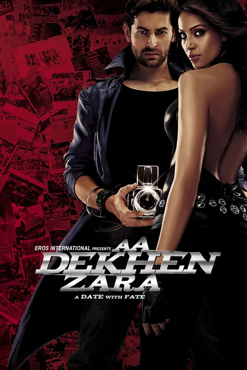 凍結的幸福(2009)海報
