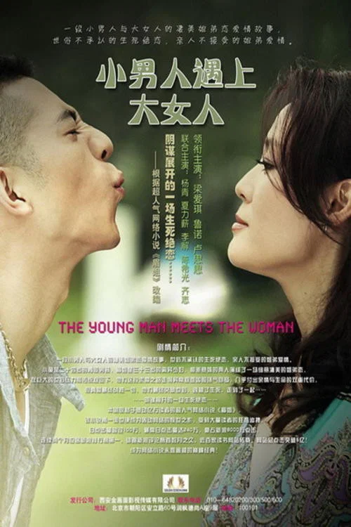 小男人遇上大女人(2012)海報