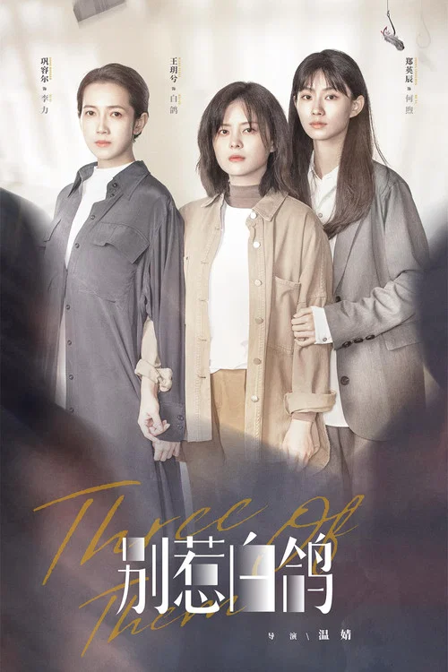 別惹白鴿(2021)海報
