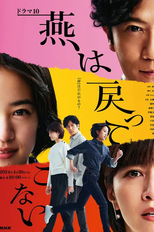 燕子不再歸來(2024)海報