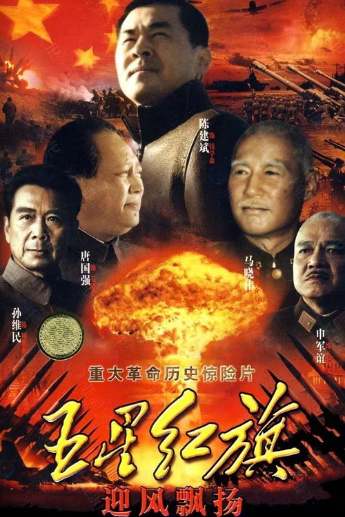 五星紅旗迎風飄揚(2011)海報