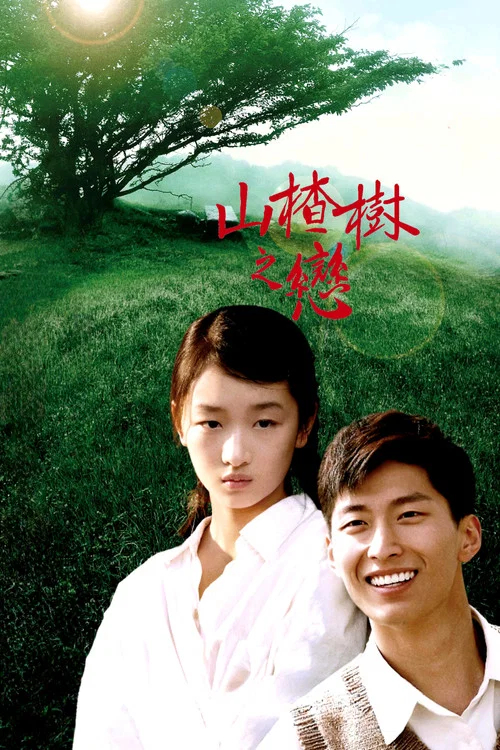 山楂树之恋剧照5