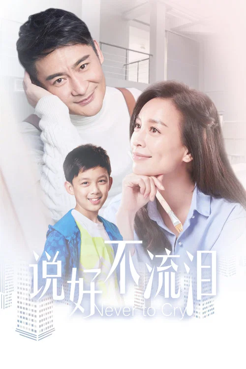 说好不流泪(2012)海报