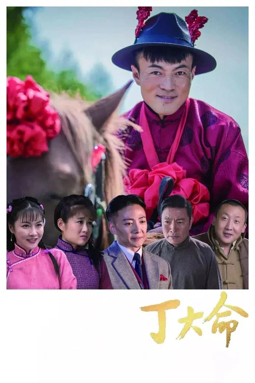 丁大命(2018)海报