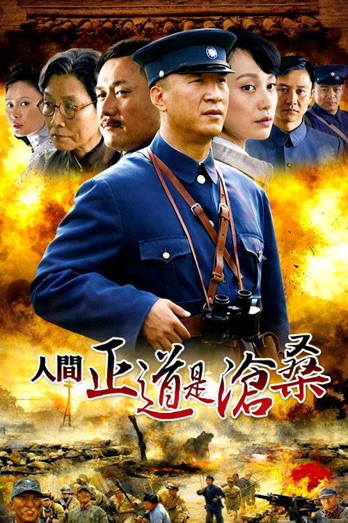 人間正道是滄桑(2009)海報