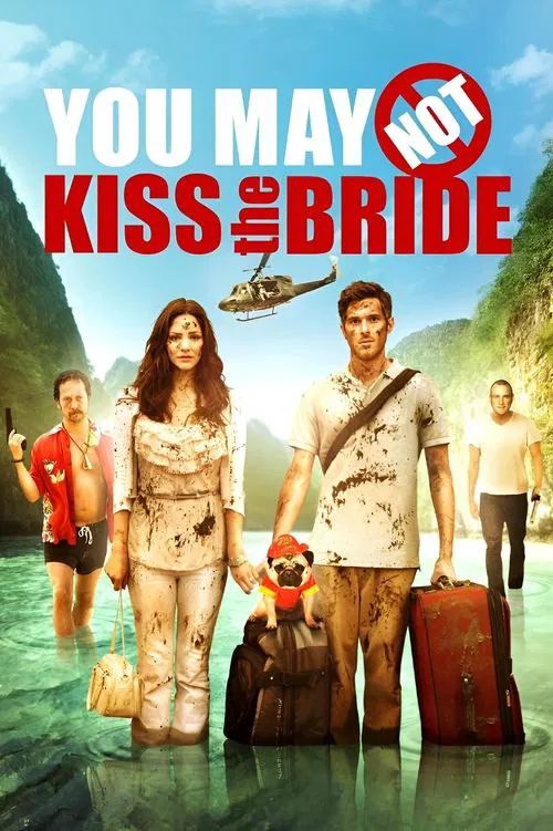 你不可以吻新娘(2011)海报