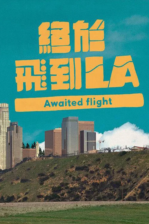 终于飞到LA海报
