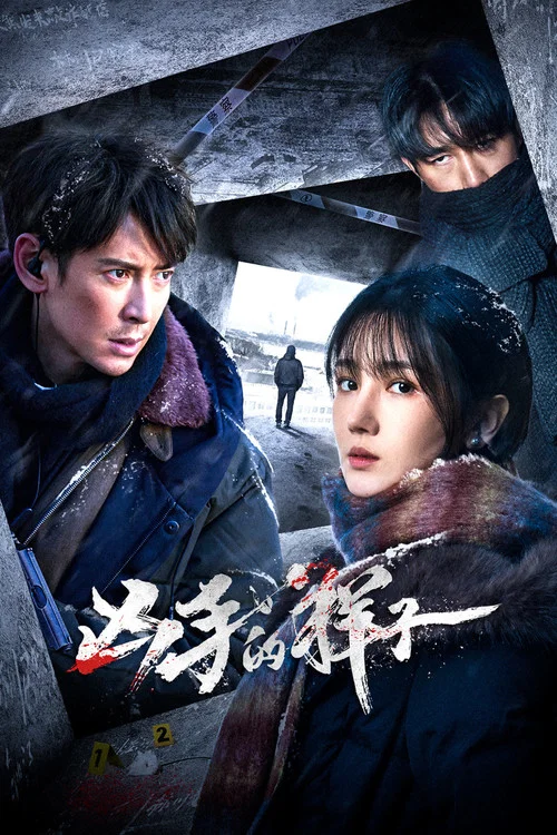 凶手的样子(2024)海报