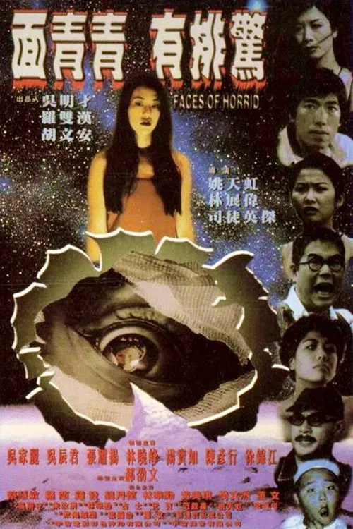 面青青有排惊(1998)海报