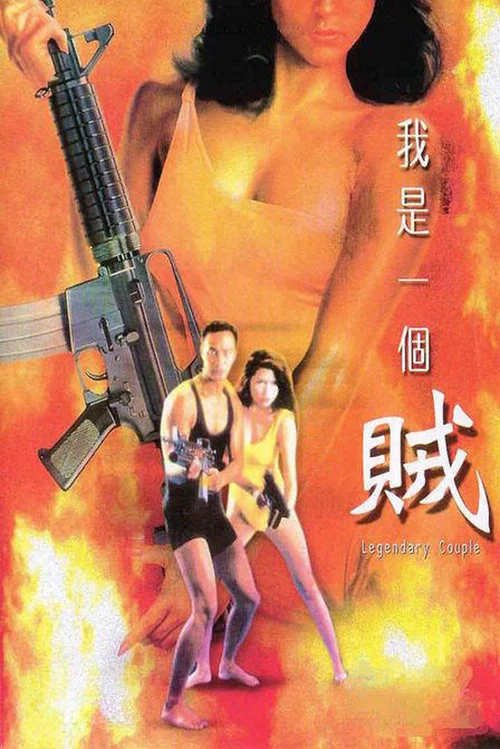 我是一個賊(1995)海報