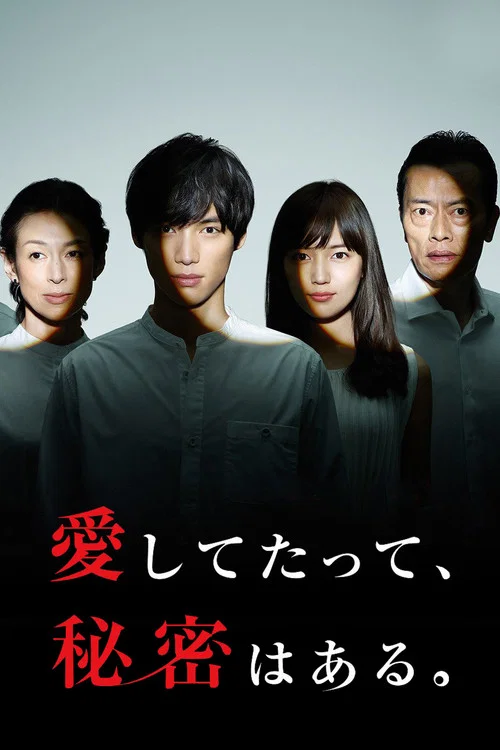 即使爱,也有秘密(2017)海报