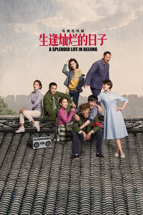 生逢燦爛的日子(2017)海報