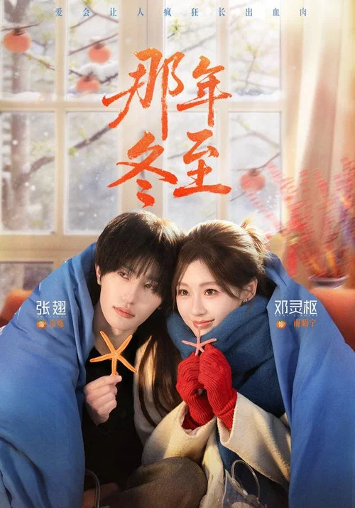 那年冬至(2026)海報
