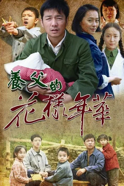 养父的花样年华(2014)海报