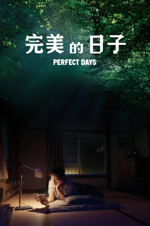完美的日子(2023)海报