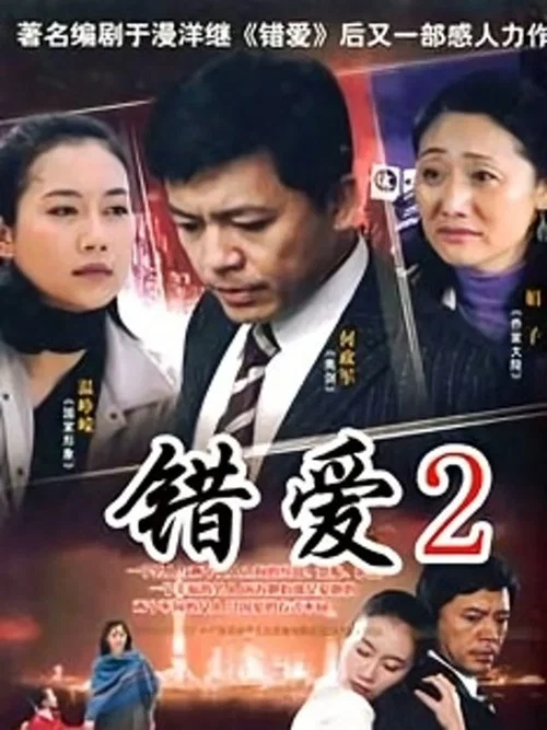 错爱2(2009)海报