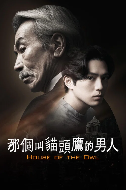那個叫貓頭鷹的男人(2024)海報