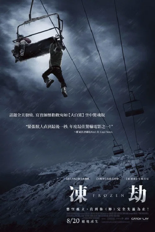 為你鍾情2010(國語版)(2010)海報