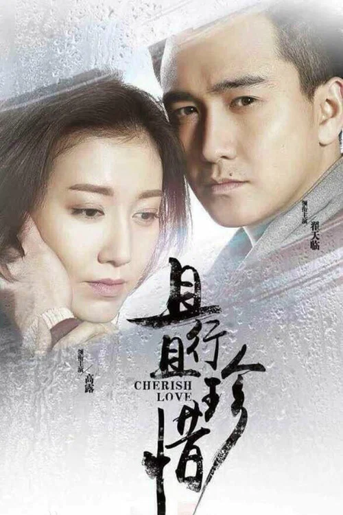 且行且珍惜(2015)海報