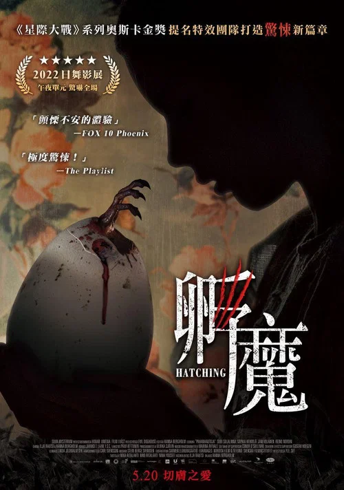 孵化(2022)海报