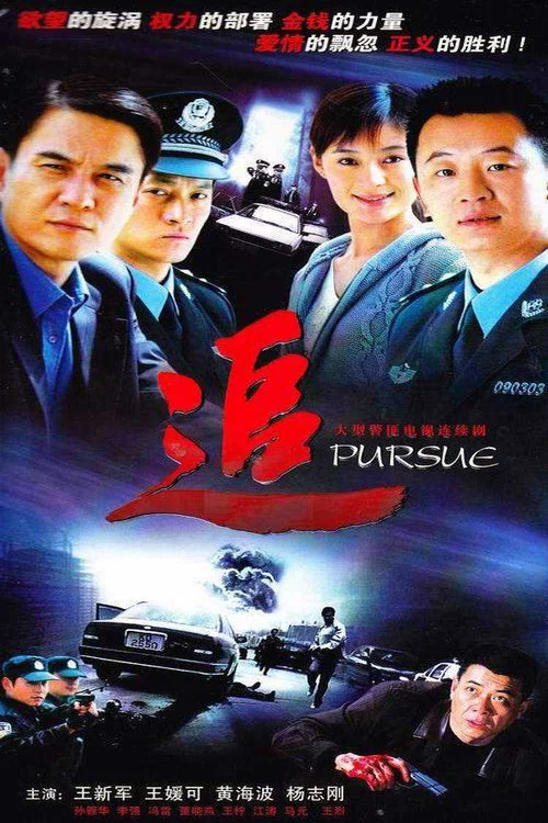 追 (2007)(2007)海报