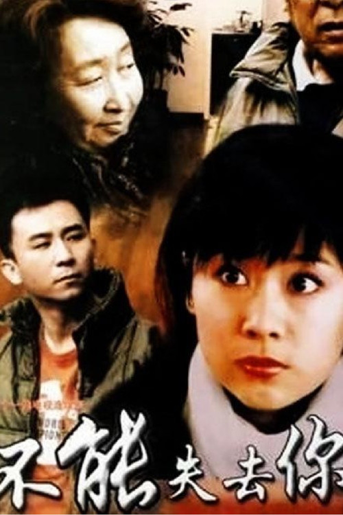 不能失去你(2006)海報