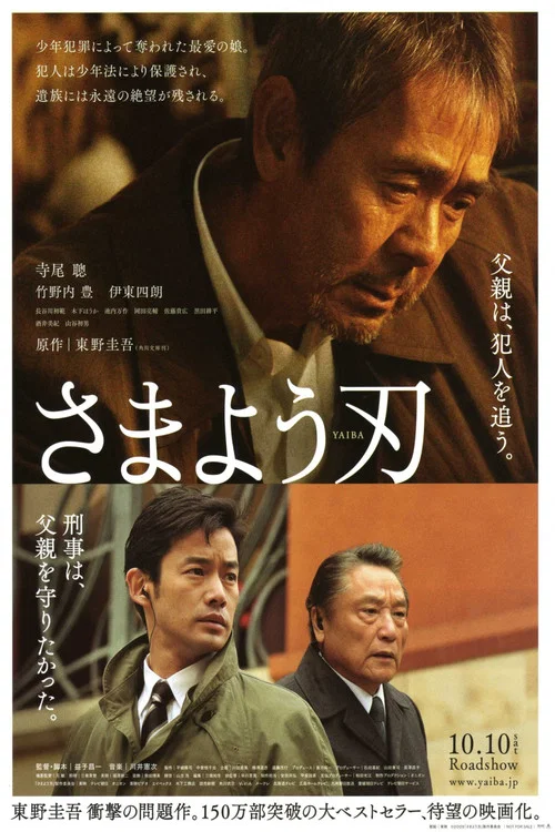 彷徨之刃(2009)海報