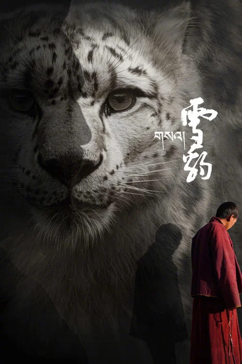 雪豹2023(2023)海報