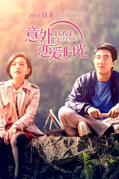 意外的恋爱时光(2013)海报