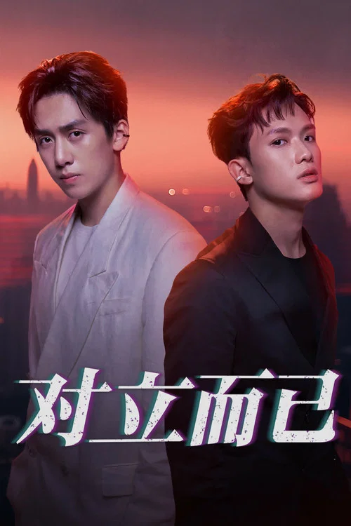 對立而已(2025)海報