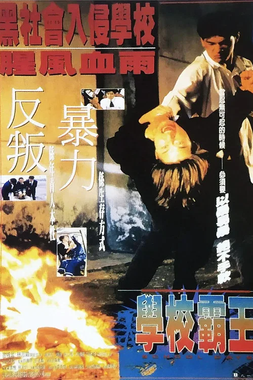 學校霸王(1995)海報