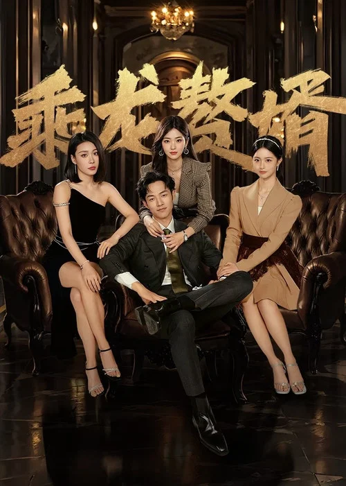 乘龍贅婿(2024)海報