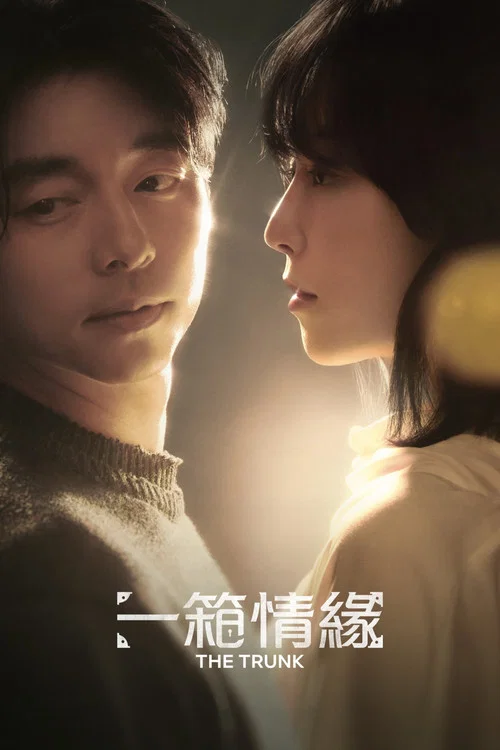 一箱情緣(2024)海報