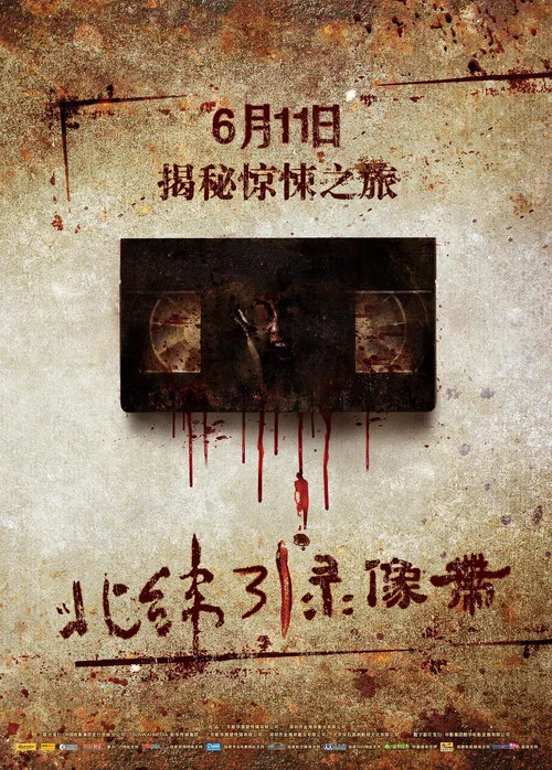 北緯31°錄影帶(2010)海報