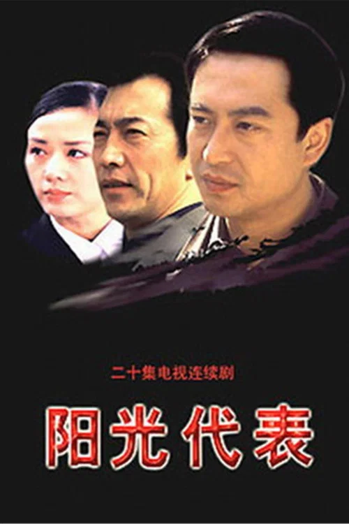 阳光代表(2002)海报