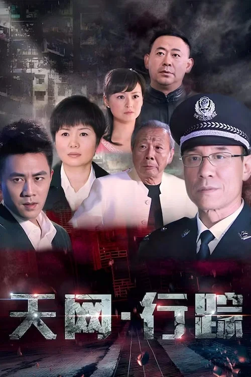 天網行蹤(2024)海報