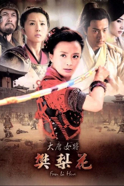 大唐女將樊梨花(2011)海報