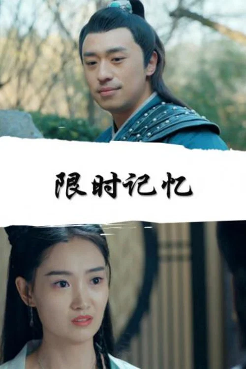 限定的記憶(2019)海報