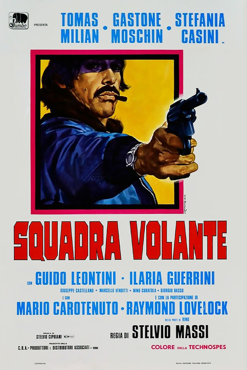 警匪龙虎斗(1974)海报