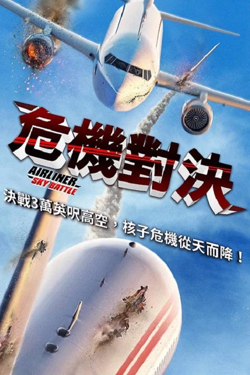客機空戰(2020)海報