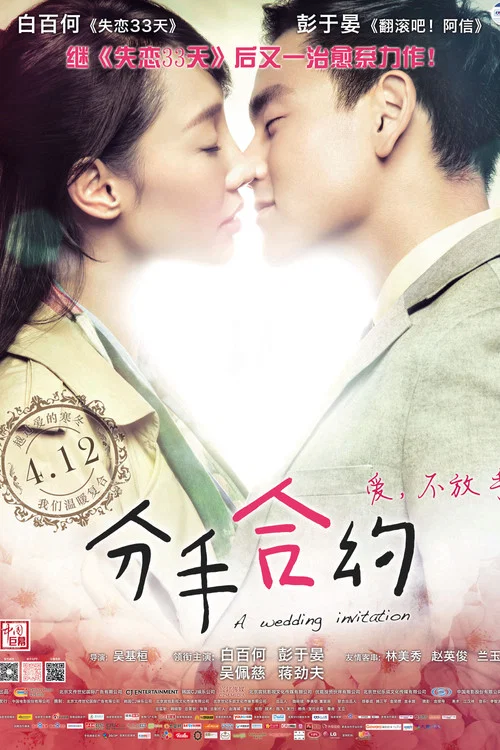 分手合约(2013)海报