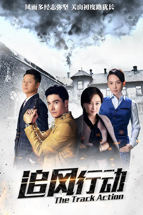 追風行動(2018)海報