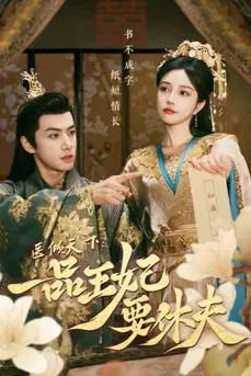 醫傾天下:一品王妃要休夫(2024)海報